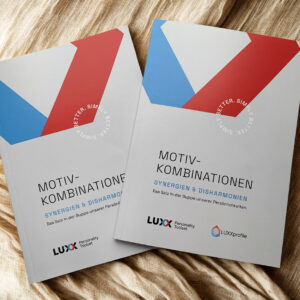 „Motivkombinationen – Synergien & Disharmonien“